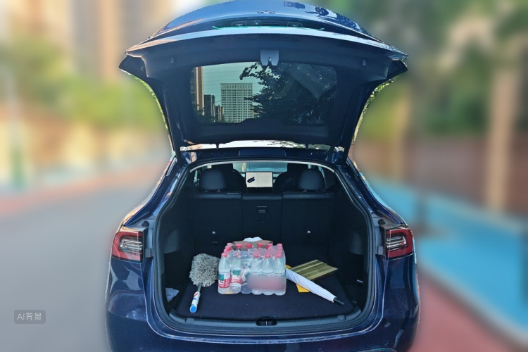 Tesla Model Y 2021 car image #21