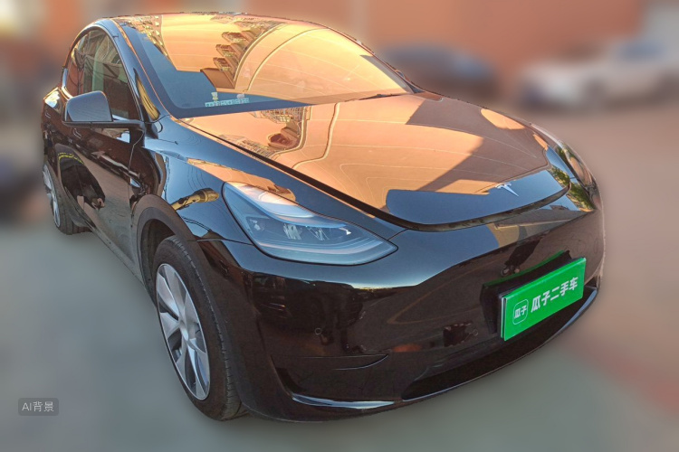 Tesla Model Y 2023 car image #4