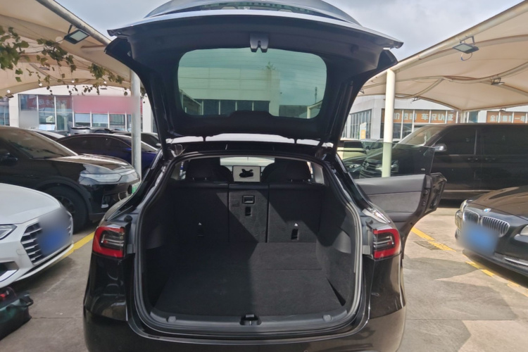 Tesla Model Y 2024 #19 Tesla Model Y 2024 car image #19