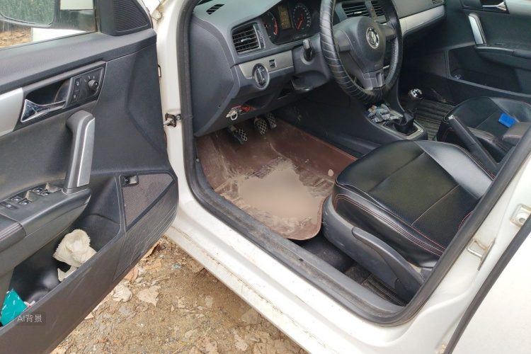 Volkswagen Lavida 2015 car image #18