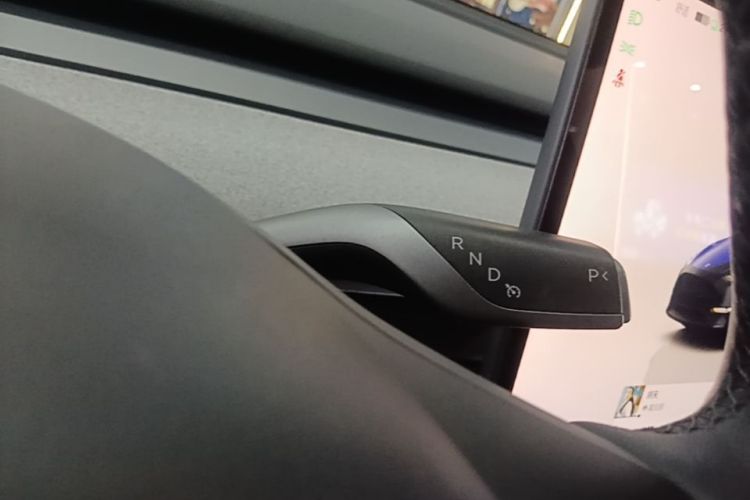 Tesla Model Y 2024 car image #14