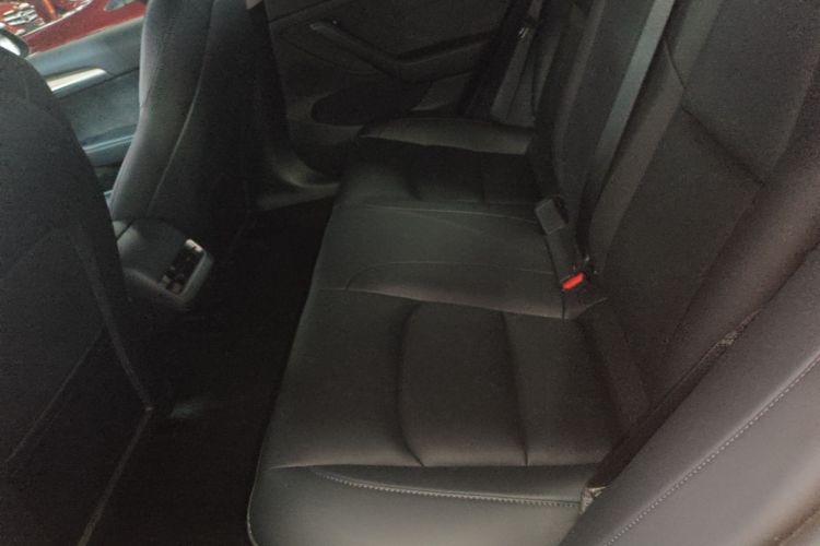 Tesla Model 3 2023 car image #17
