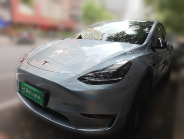 Tesla Model Y 2024 car image 