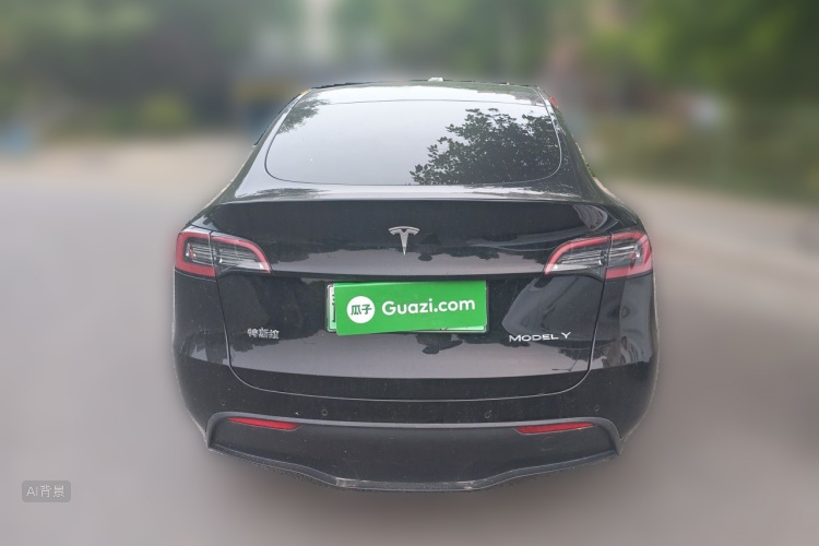Tesla Model Y 2021 car image #6