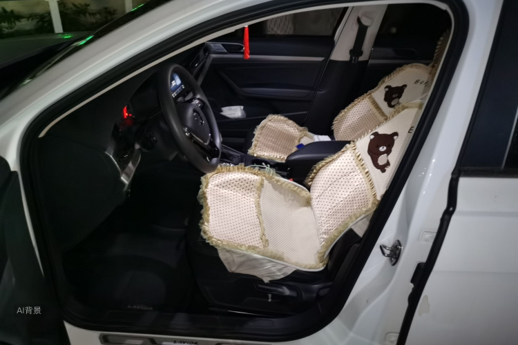 Volkswagen Lavida 2020 car image #17