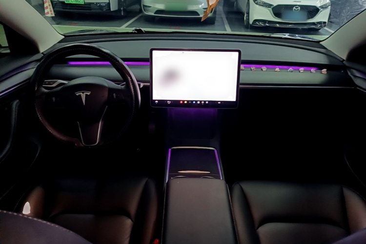 Tesla Model 3 2021 car image #12