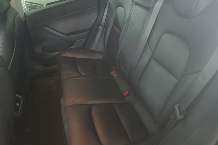 Tesla Model 3 2020 car image #17