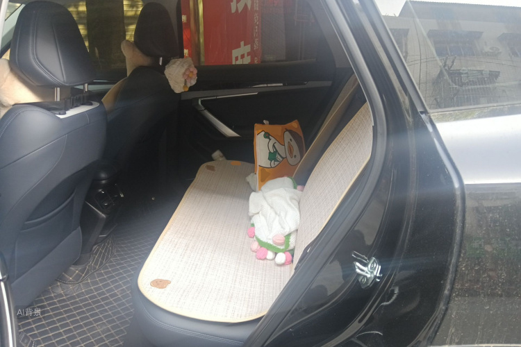 GEELY Boyue L 2025 صورة سيارة #19