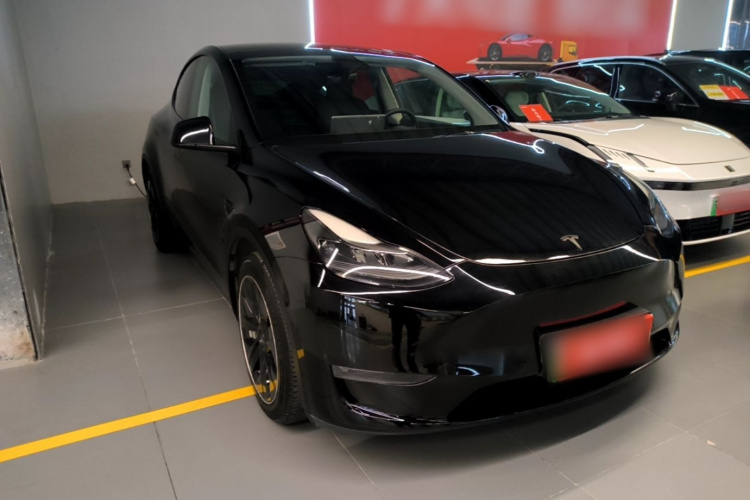 Tesla Model Y 2021 #4 Tesla Model Y 2021 car image #4