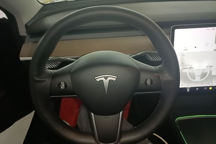 Tesla Model 3 2021 #15 Tesla Model 3 2021 car image #15