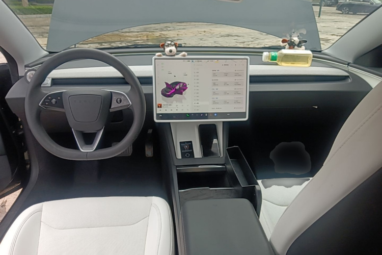 Tesla Model 3 2023 #10 Tesla Model 3 2023 car image #10