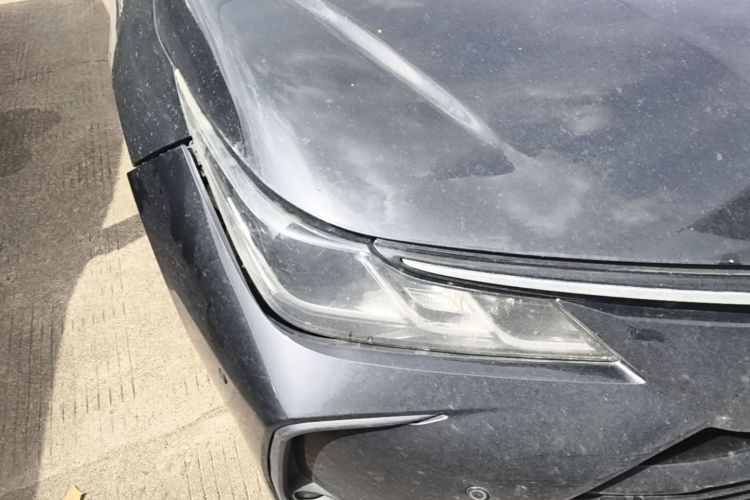 Toyota Corolla 2019 #8 Toyota Corolla 2019 car image #8