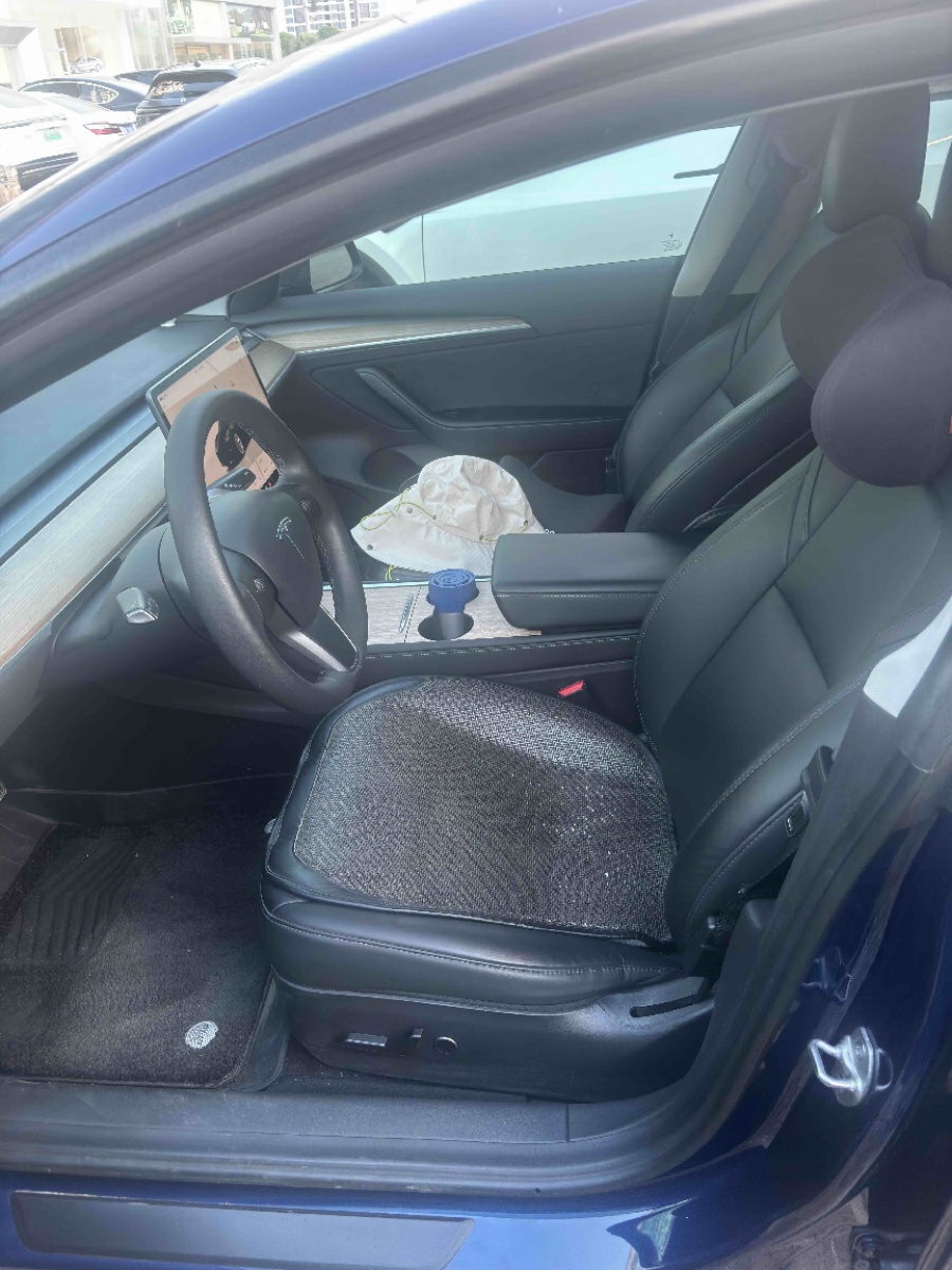 Tesla Model 3 2022 car image #2