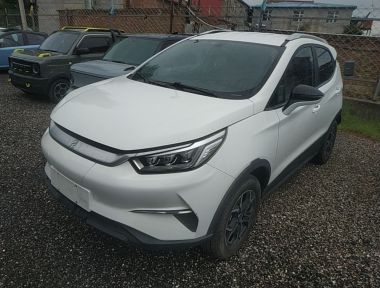 BYD Yuan Pro 2021 car image 