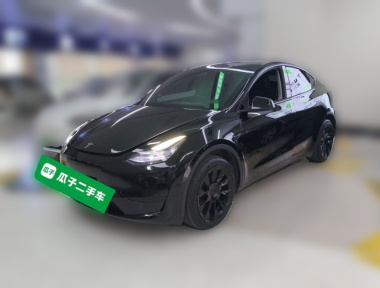 Tesla Model Y 2024 Tesla Model Y 2024 car image
