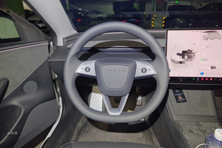 Tesla Model 3 2025 car image #12