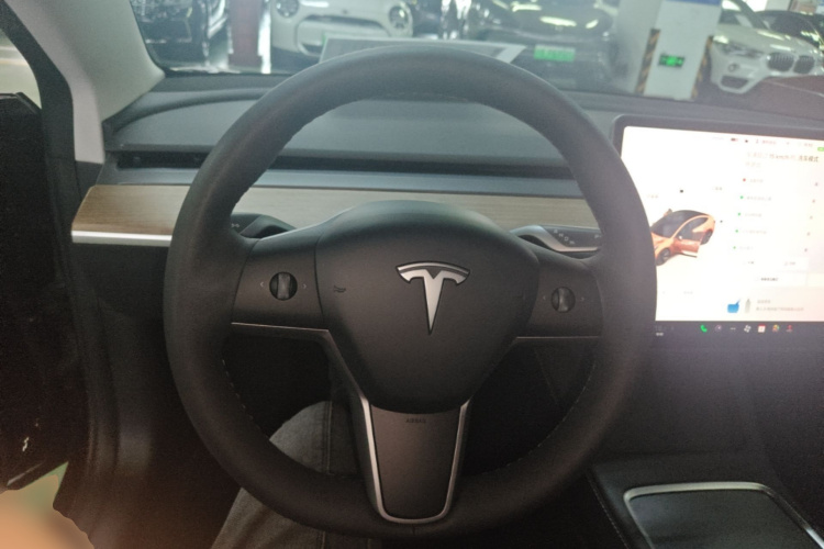 Tesla Model 3 2023 car image #11