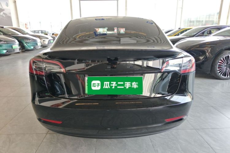 Tesla Model 3 2022 car image #6