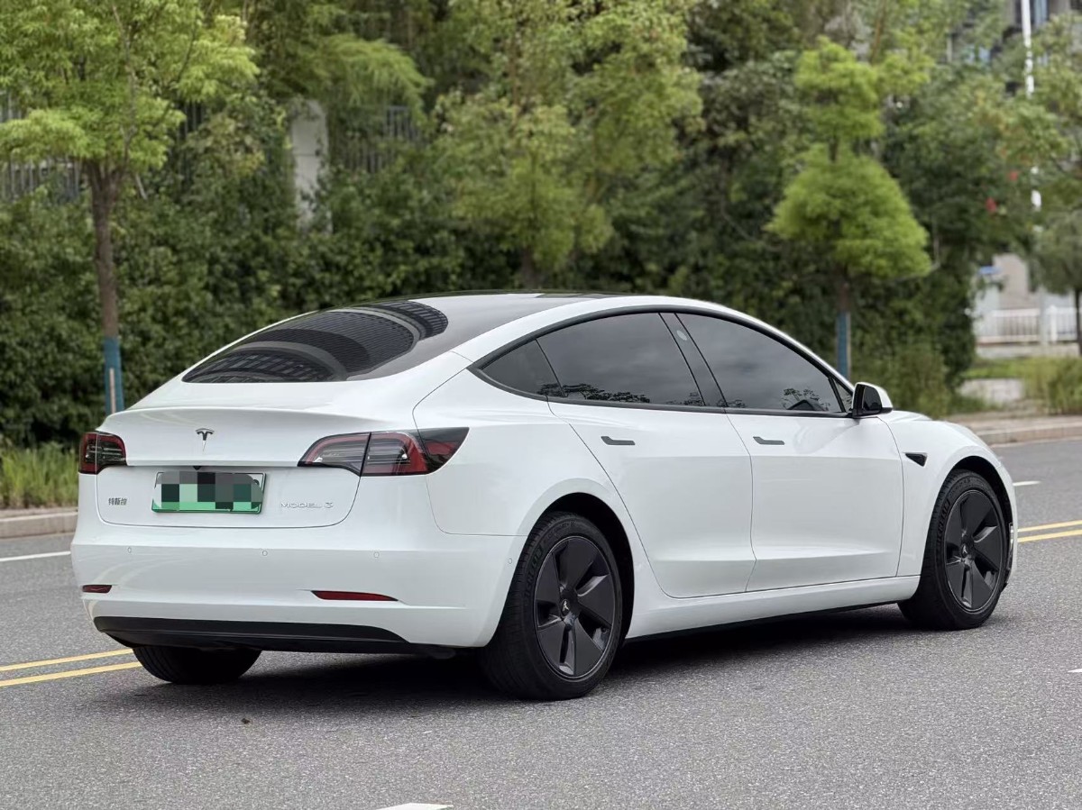 Tesla Model 3 2022 #8 Tesla Model 3 2022 car image #8