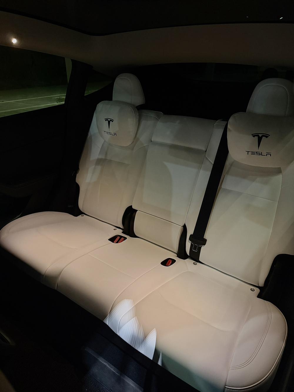 Tesla Model Y 2023 #10 Tesla Model Y 2023 car image #10