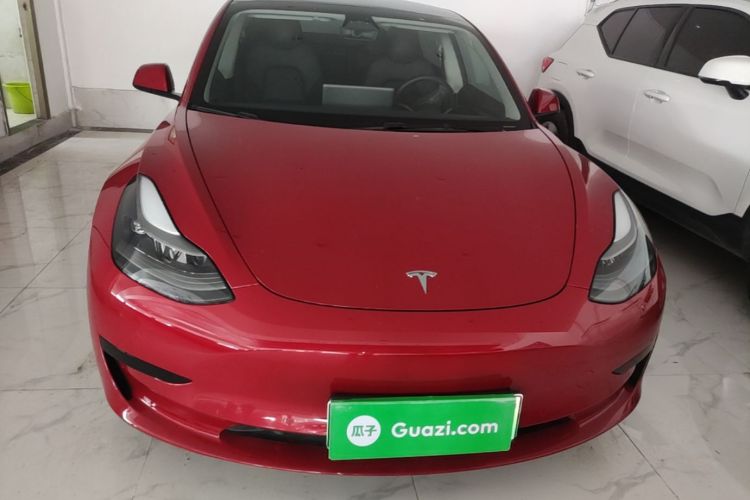 Tesla Model 3 2021 #3 Tesla Model 3 2021 car image #3