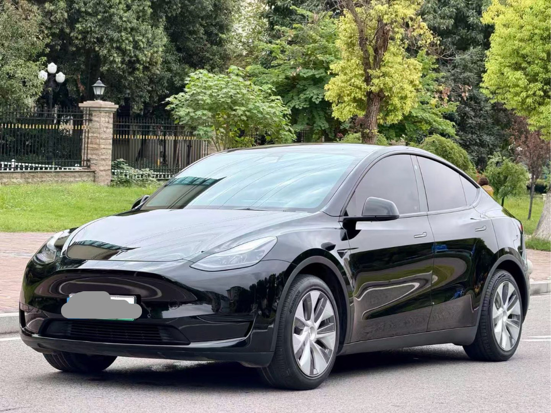 Tesla Model Y 2023 Tesla Model Y 2023 car image