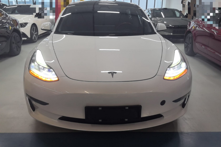 Tesla Model 3 2022 immagine di auto #3