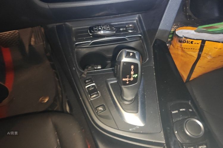 BMW 3 Series 2017 car image #16