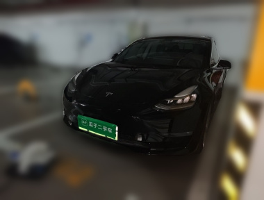 Tesla Model 3 2020 car image 