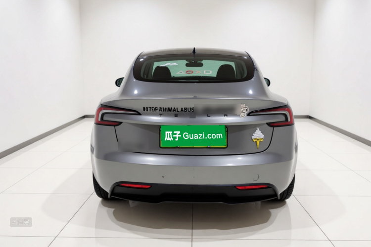 Tesla Model 3 2024 #6 Tesla Model 3 2024 car image #6