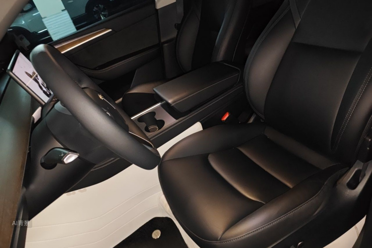 Tesla Model Y 2023 car image #17