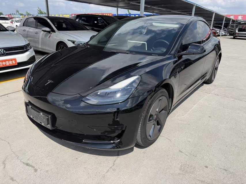 Tesla Model 3 2023 Tesla Model 3 2023 car image