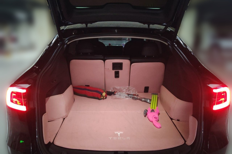 Tesla Model Y 2024 car image #18