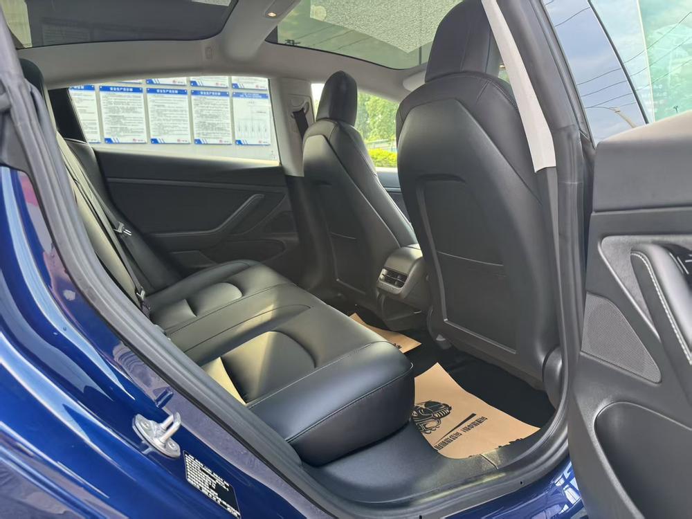 Tesla Model 3 2020 car image #19