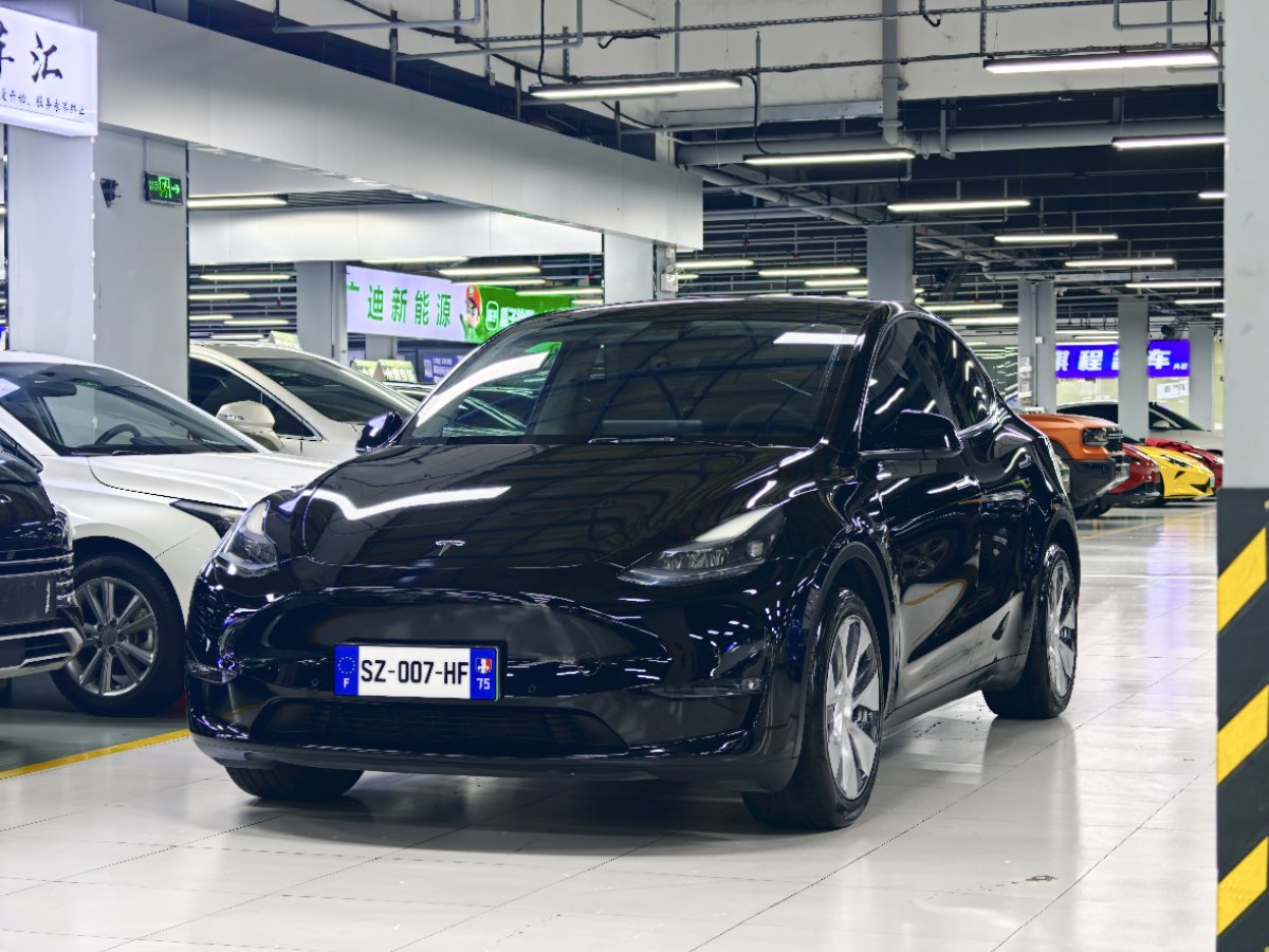 Tesla Model Y 2021 car image 
