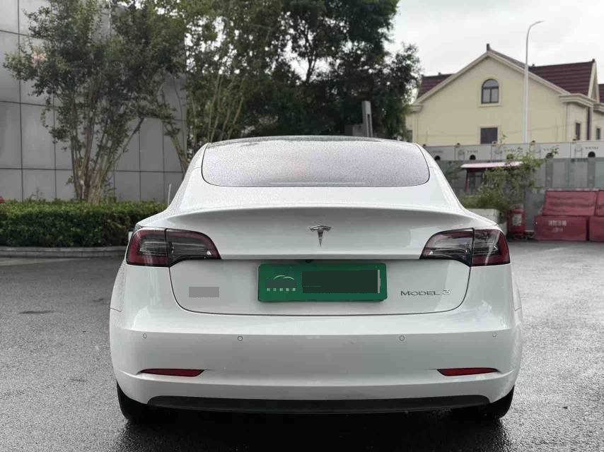 Tesla Model 3 2021 #7 Tesla Model 3 2021 car image #7