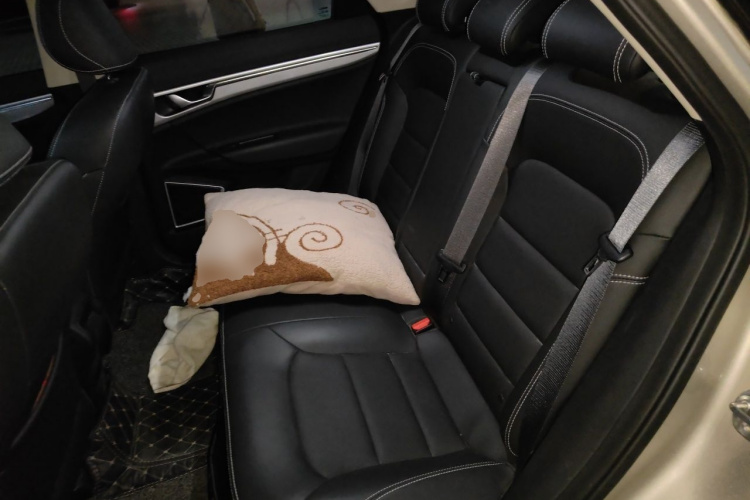 GEELY Emgrand GS 2020 car image #10