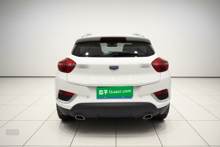 GEELY Emgrand GS 2019 imagen de coche #6