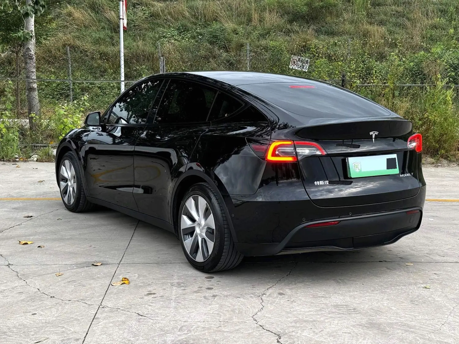 Tesla Model Y 2022 #7 Tesla Model Y 2022 car image #7