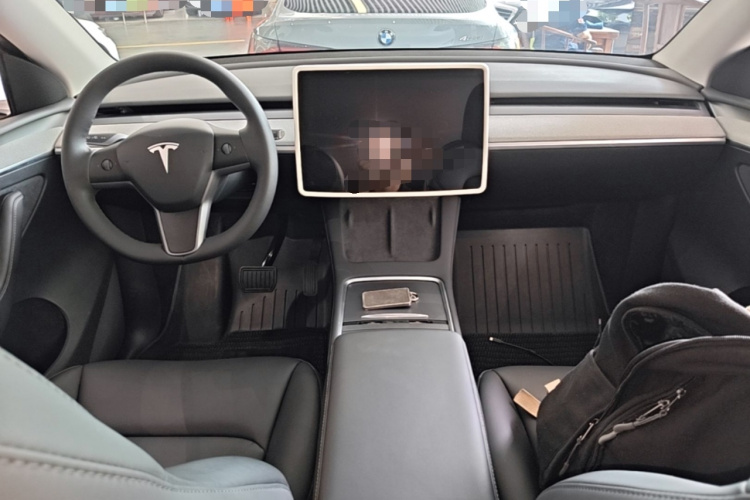 Tesla Model Y 2024 car image #10