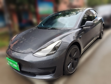 Tesla Model 3 2021 immagine di auto 