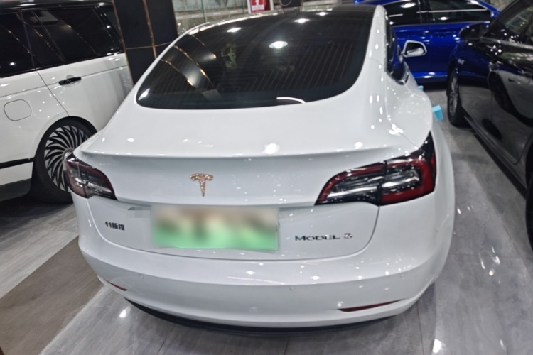 Tesla Model 3 2020 #6 Tesla Model 3 2020 car image #6