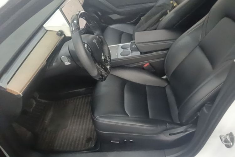 Tesla Model 3 2022 immagine di auto #15