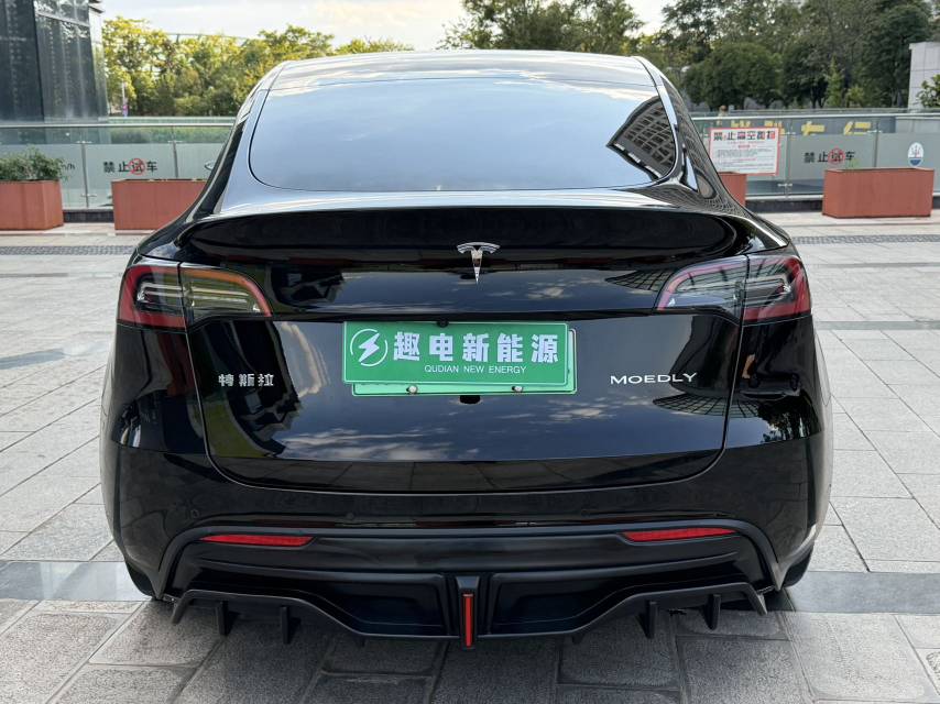 Tesla Model Y 2023 car image #12