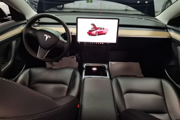 Tesla Model 3 2023 car image #10
