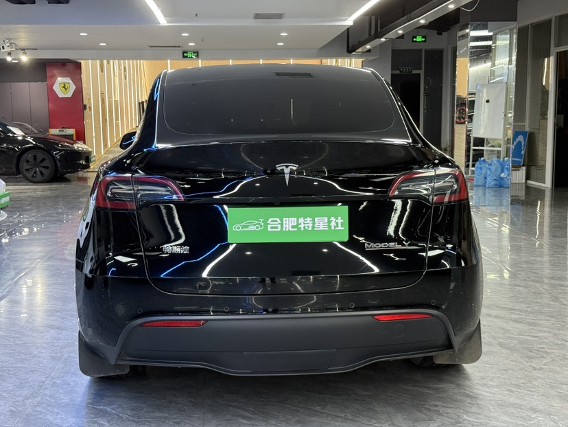 Tesla Model Y 2022 #7 Tesla Model Y 2022 car image #7