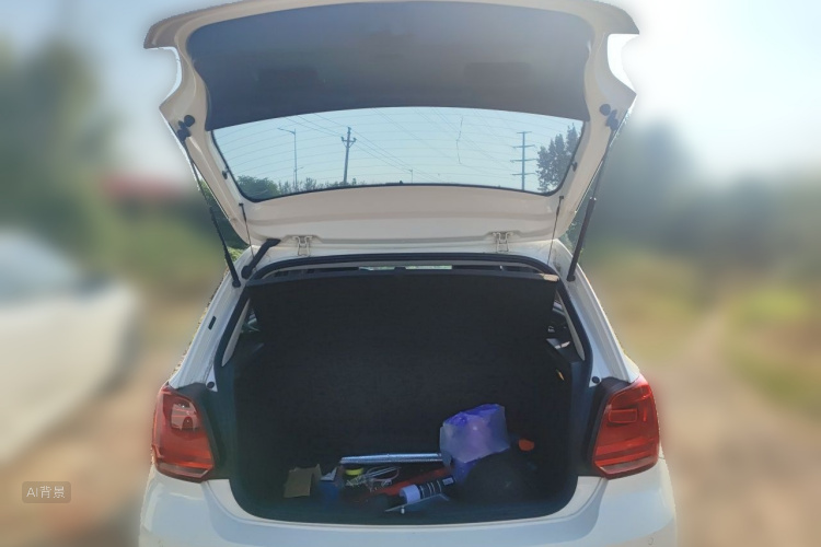 Volkswagen Polo 2016 car image #21