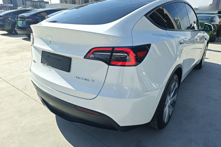 Tesla Model Y 2022 car image #7