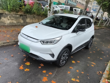 BYD Yuan Pro 2021 car image 