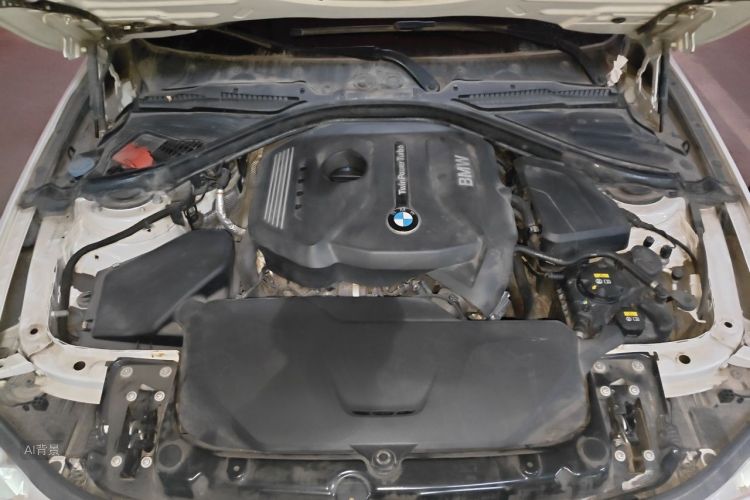 BMW 3 Series 2017 car image #22